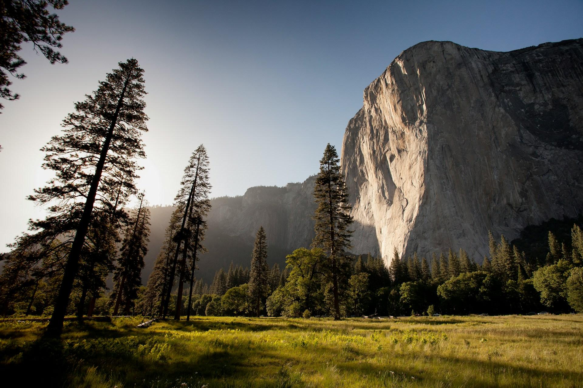 adam-kool-ndn00kmbj1c-unsplash_1.jpg 